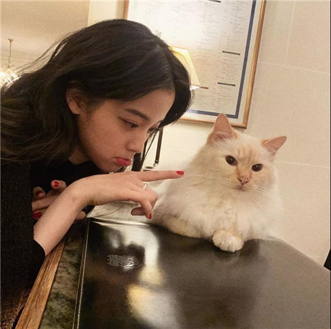 猪属相搬家安床吉利吗 属猪搬家哪个属相不能去